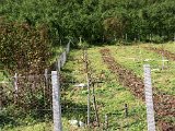 IMG_0053.JPG