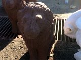 IMG_0065.JPG