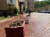 IMG_0261.JPG
