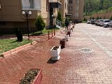 IMG_0264.JPG