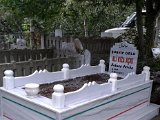 IMG_0429.JPG